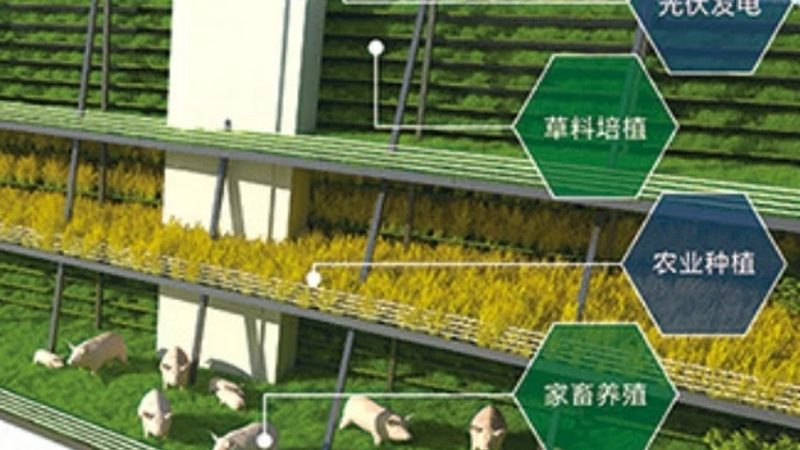 食品企业绿色认证流程解析：从田间到餐桌的绿色守护