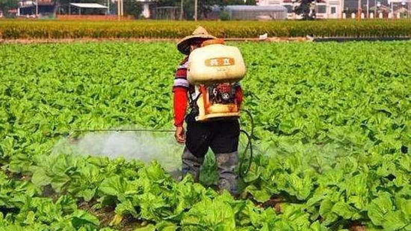 云南果树种植技术培训学校哪家强？关键要素揭秘**